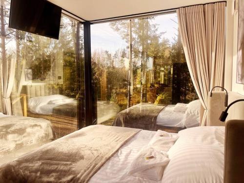 Serenity Forest 1的一间卧室设有两张床和大窗户