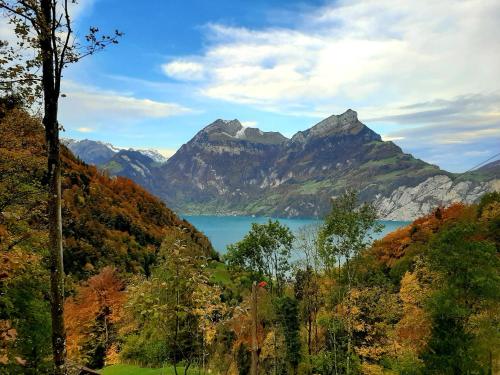 希希崆Panorama Jurte über dem Uri-See B的享有以山脉为背景的湖泊美景