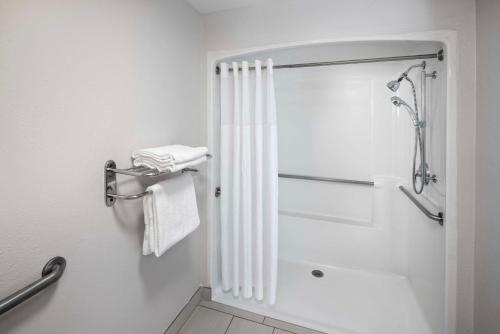 阿什维尔比尔特莫尔村克拉丽奥酒店的带淋浴和浴帘的浴室