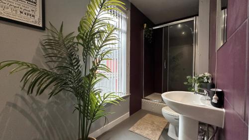 卡斯尔福德Snug apartment in the heart of Castleford的一间带水槽、卫生间和植物的浴室