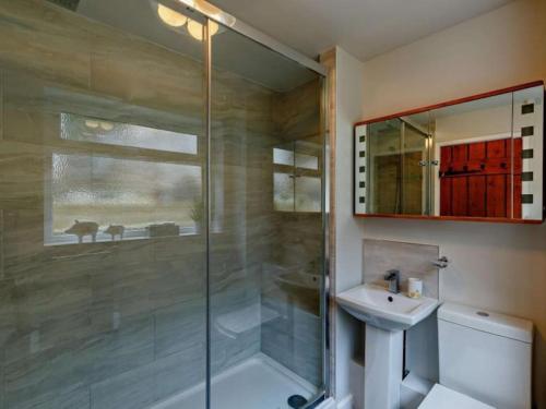 布里奇诺斯Beautiful 2 Bedroom Riverside Cottage的带淋浴和盥洗盆的浴室