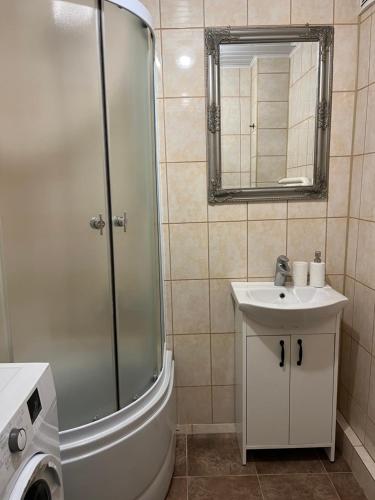 陶格夫匹尔斯Vienibas apartment的带淋浴、盥洗盆和镜子的浴室