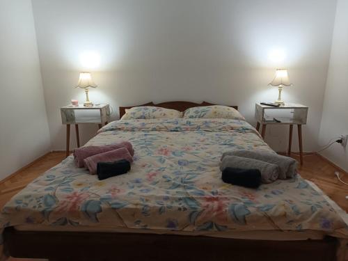 扎耶查尔Apartman 019的一间卧室,配有带2个床头柜的床