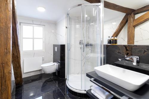 布拉格Hotel Ikona的带淋浴、盥洗盆和卫生间的浴室