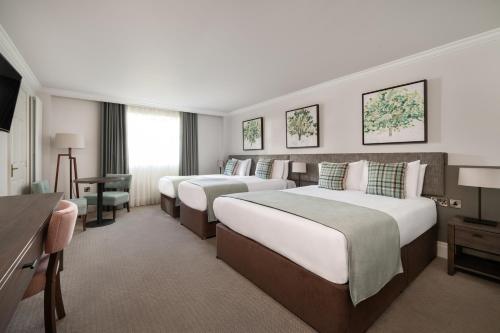 贝尔法斯特艾文霍酒店的酒店客房配有两张床和一张书桌