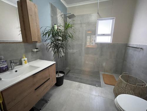 爱德华港Villa Songo, Estuary Country Estate, INVERTER & RENOVATED的浴室设有水槽和植物淋浴