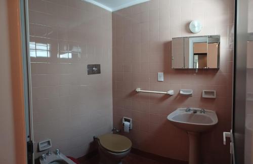 内科切阿Sur Hotel的一间带卫生间和水槽的浴室