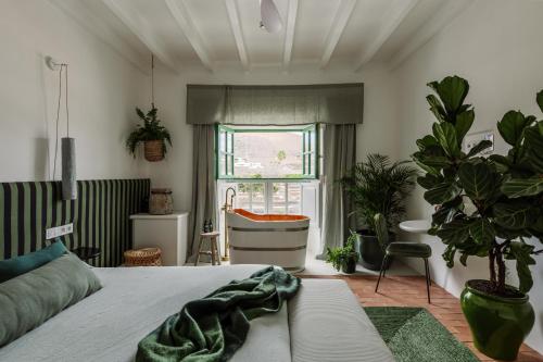 阿索马达Hotel Cesar Lanzarote的卧室配有床、浴缸和窗户。
