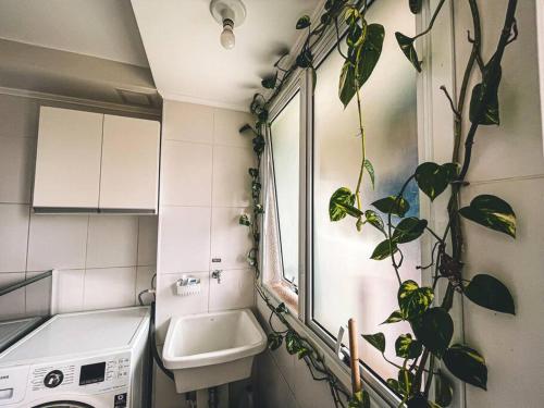 巴西利亚Apartamento super agradável! Perto de tudo em Águas Claras的墙上有水槽和植物的浴室