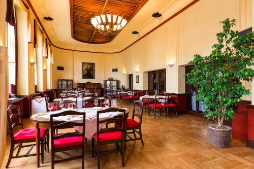 比尔森欧陆酒店的一间设有桌椅和盆栽的餐厅