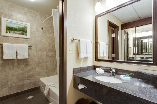 圣路易斯德鲁里广场圣路易斯艾特酒店的浴室配有盥洗盆、镜子和浴缸