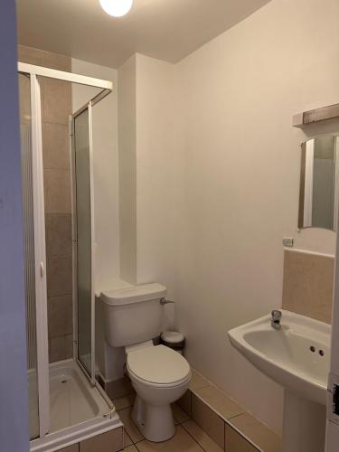 沃特福德Modern Apartment X91 R940的浴室配有卫生间、盥洗盆和淋浴。