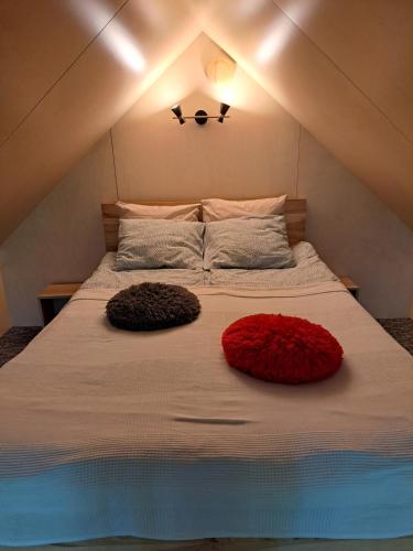 拉加希姆斯Pērle的一张大床,上面有两个枕头