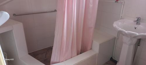 安塞奥潘爱巢自助式旅馆的水槽旁的粉红色淋浴帘