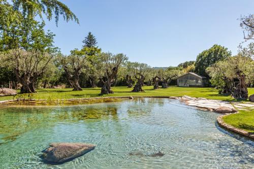 圣特罗佩杜梦莱斯美瑟恩奇住宿加早餐旅馆的树堆堆积在院子中间的池塘