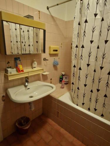 布鲁塞尔City Center Promo的浴室配有水槽、浴缸和淋浴帘