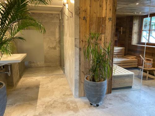 基茨比厄尔Hotel Edelweiss Kitzbühel的一间在房间内装有两盆植物的浴室
