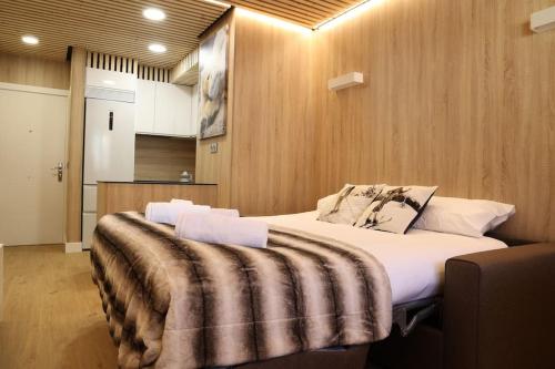 维耶拉Apartamento Hartza的一间卧室配有一张大床,床上有毯子