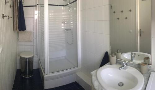 勒韦西内Au Tour Des Bois的白色的浴室设有水槽和淋浴。