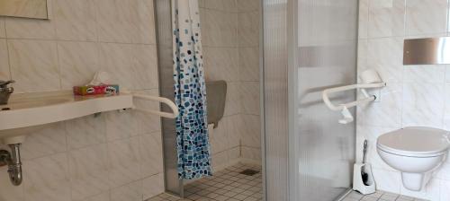 柏林豪斯尼德菲尔德HW酒店 的带淋浴、卫生间和盥洗盆的浴室