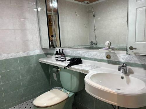 首尔Haru Airport Stay Gimpo的一间带水槽、卫生间和镜子的浴室