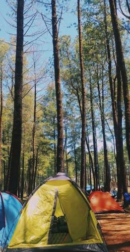 武吉丁宜view cemping glamping的森林中间的黄色帐篷