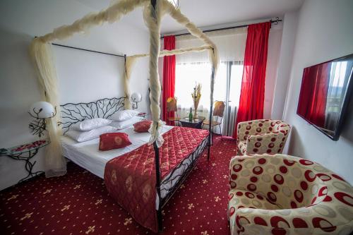兰卡Pension Valea Mariei的一间卧室配有一张天蓬床和一把椅子