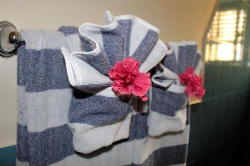 珀拉什奇亚Casa Palma Placencia的挂在毛巾架上的一束毛巾,上面有鲜花