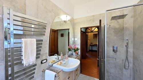 拉达-因基安蒂Angolino的一间带水槽和淋浴的浴室