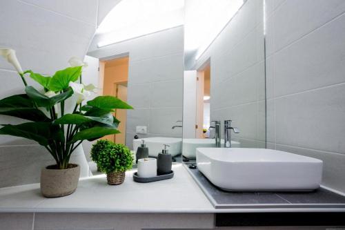 圣米格尔德阿沃纳GP127 apartman Tenerife的白色的浴室设有水槽和镜子