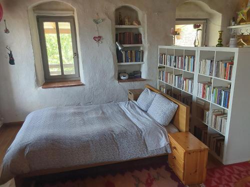 PsárionThe Artist's House的一间卧室配有床和书架,并提供书籍
