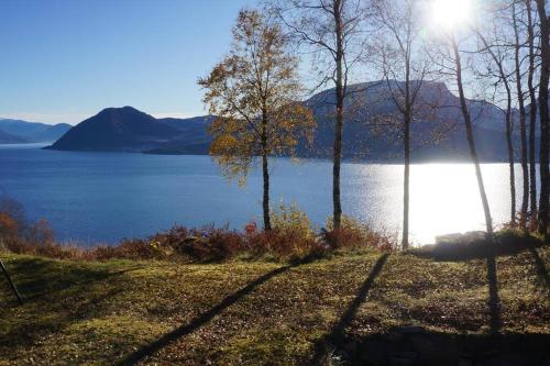 LeikangerBregnehytte的享有树木和阳光的湖泊美景