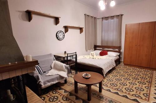 阿姆菲克利亚Ορεινό καταφύγιο Παρνασσού的客厅配有床和沙发