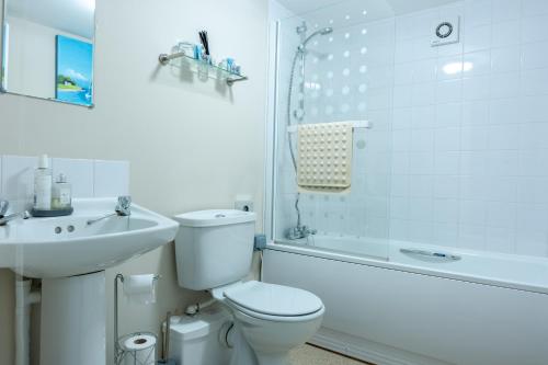 BronllysThe Cock Hotel的浴室配有卫生间、盥洗盆和淋浴。