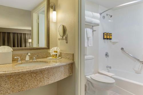 罗兰岗最佳西方加商务酒店的一间带水槽、卫生间和镜子的浴室