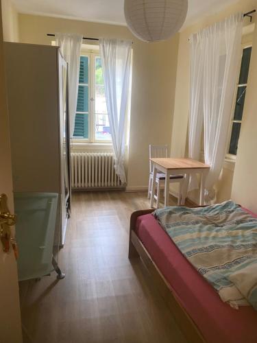 海德堡Burgfreiheit的一间卧室配有一张床、一张桌子和一个窗户。