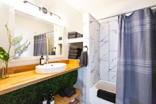 路易斯威尔Stellar Suites的一间带水槽和淋浴的浴室