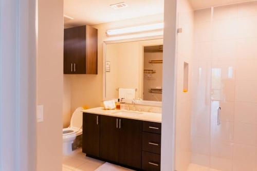 达拉斯Luxurious & cozy 2bedroom/2bath apt downtwn Dallas的一间带水槽、卫生间和镜子的浴室