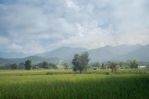 拜县Paddy Fields Haven - Natures Nest的一片绿草丛,山地背景