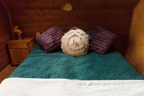 Pietrusza WolaGlamping Pod Gwiazdami的一张带紫色和紫色枕头的床