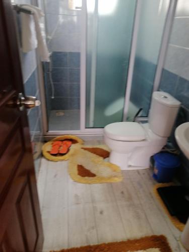 马查科斯FABELLA ACCOMODATION的一间带卫生间和淋浴的浴室以及地毯。