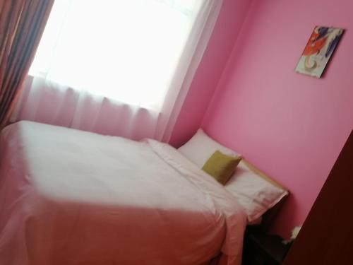 马查科斯FABELLA ACCOMODATION的粉红色客房的小床,设有窗户