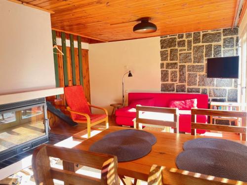Planá nad LužnicíHoliday Home Zhorska by Interhome的客厅设有红色的沙发和壁炉