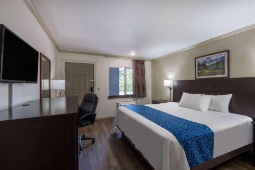 利文斯顿利文斯顿旅程住宿酒店的酒店客房配有一张床、一张书桌和一台电视。