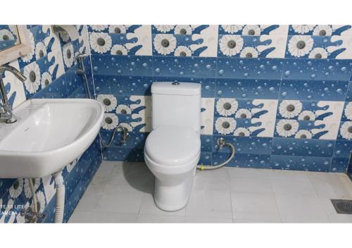 BhurkīāTiger Land Homestay的一间带卫生间和水槽的浴室