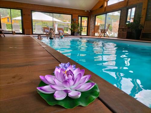 贝尔凯尔Les Chalets du Lac Belcaire的游泳池边的紫莲花