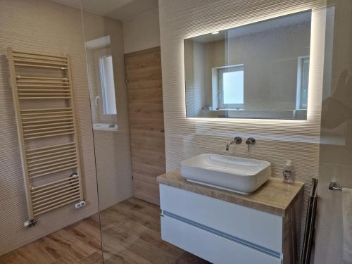 拉什科Apartmaji PR' KERIN的一间带水槽和镜子的浴室