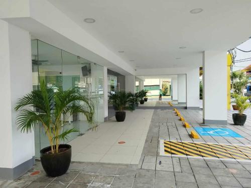 马尼拉City Nest Makati with Rooftop pool and Free Netflix的楼内带有盆栽的走廊