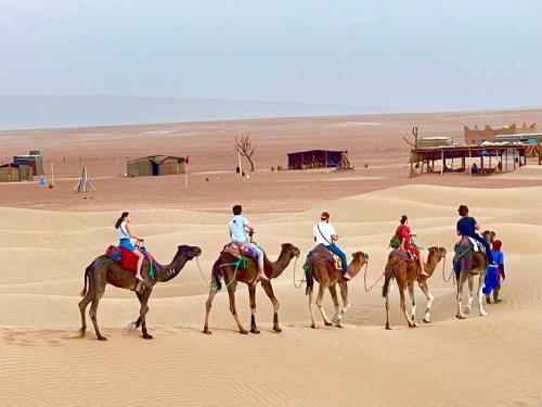 MhamidMhamid Sahara Golden Dunes Camp - Chant Du Sable的一群在沙漠里骑马的人