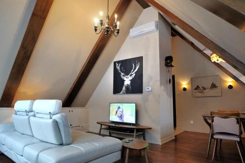 萨格奈Appartement Jacques Cartier的客厅配有白色沙发和电视